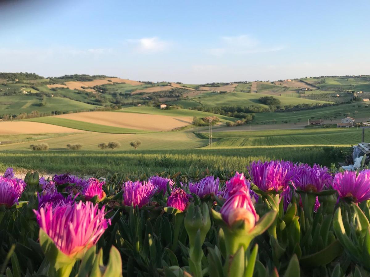 La Trave Bed & Breakfast Montecosaro  Екстериор снимка