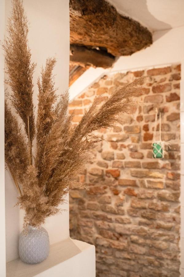 La Trave Bed & Breakfast Montecosaro  Екстериор снимка